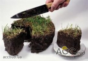 Украину ожидает повышение государственной пошлины при продаже земли