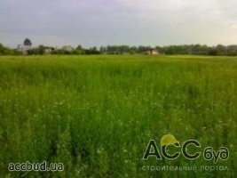 24 участка под Киевом отдадут семьям Небесной сотни