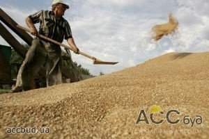 До конца года аграриям выплатят 900 миллионов гривен авансовых платежей