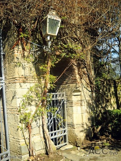 Парк Цинандали (Фото: Ольга Камоликова, Татьяна Грибова)